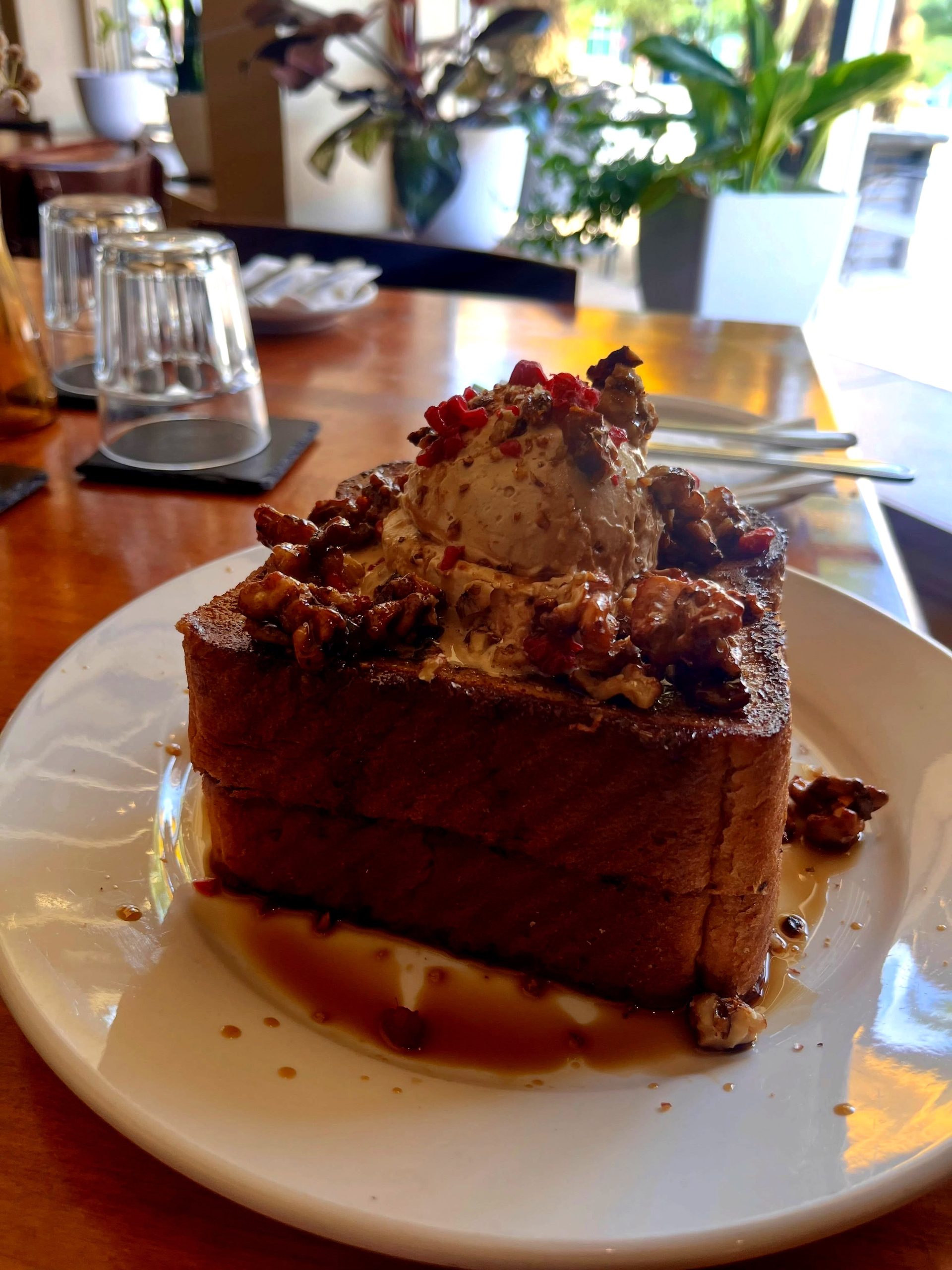 The New Cafe & Cantina Rewards